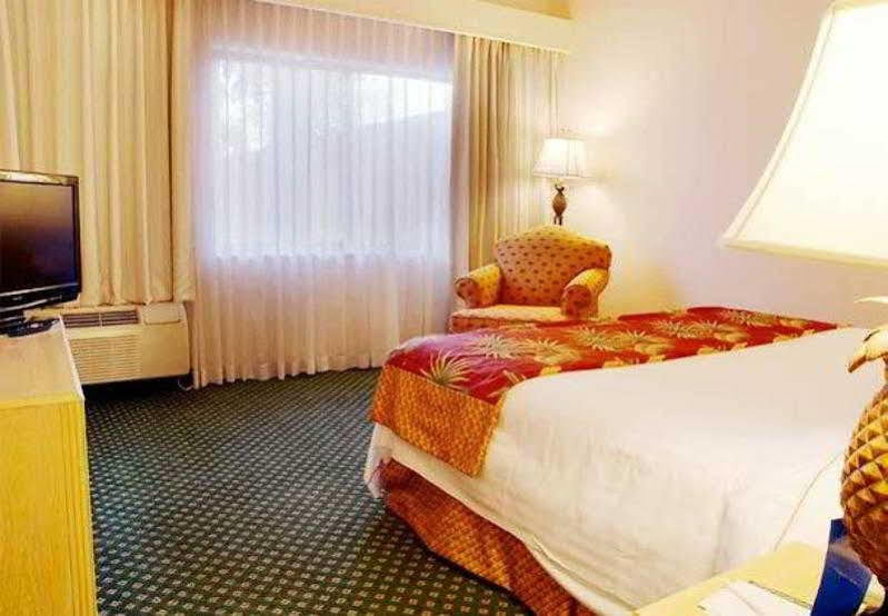 Courtyard By Marriott Fort Lauderdale Coral Springs Exterior foto